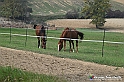 VBS_7522 - Andare lontano, oltre i campi da arare... e ancora più in là